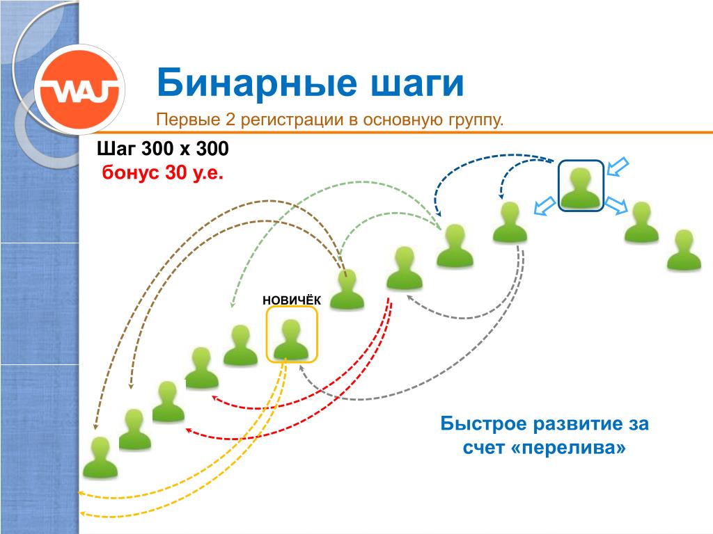 Бинарный маркетинг схема