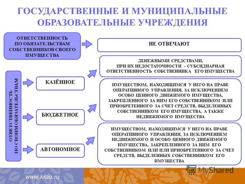 Форма организации по учредителю