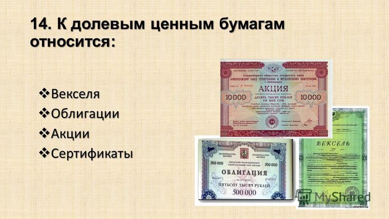 Векселя относится к бумагам