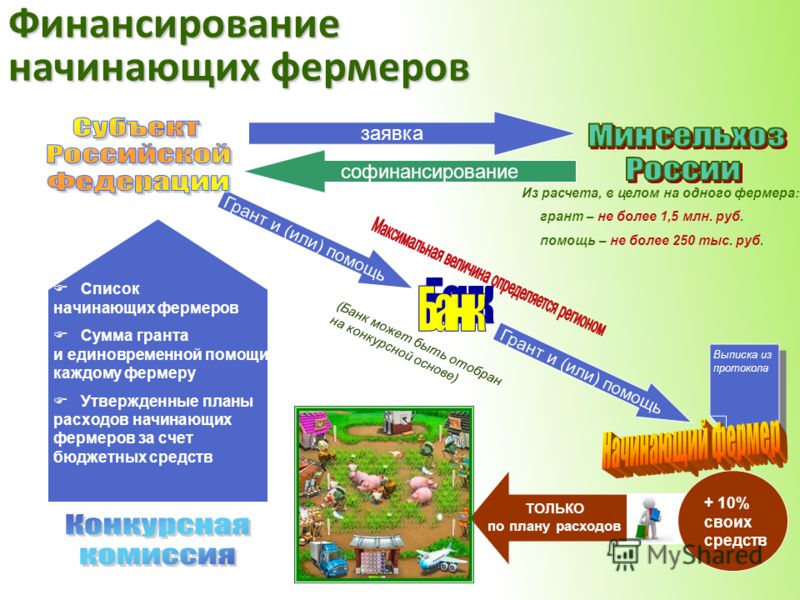 Порядок предоставления грантов на поддержку начинающих фермеров