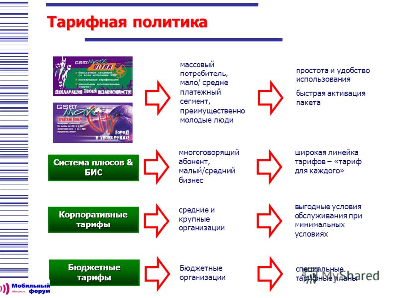 Категории бизнеса. Массовый потребитель. Стратегия перехода к массовому потребителю. Массовая политика. Тарифная политика международных платежных систем.