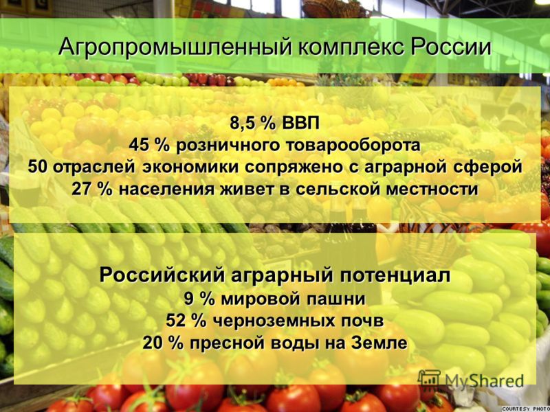 Программа агропромышленный комплекс. Агропромышленный комплекс России. Агропромышленный комплекс РФ. Значение агропромышленного комплекса. Агропромышленный комплекс РФ кратко.