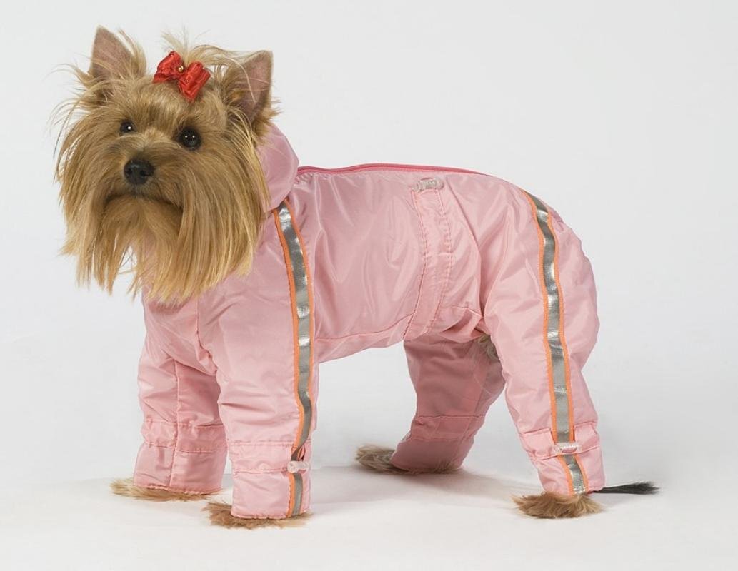 Как сшить одежду для животных Как сшить одежду для собаки Советы по пошиву собачьей одежды 