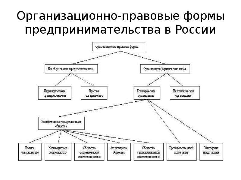 Организационно правовая форма ип это: Как выбрать организационно .