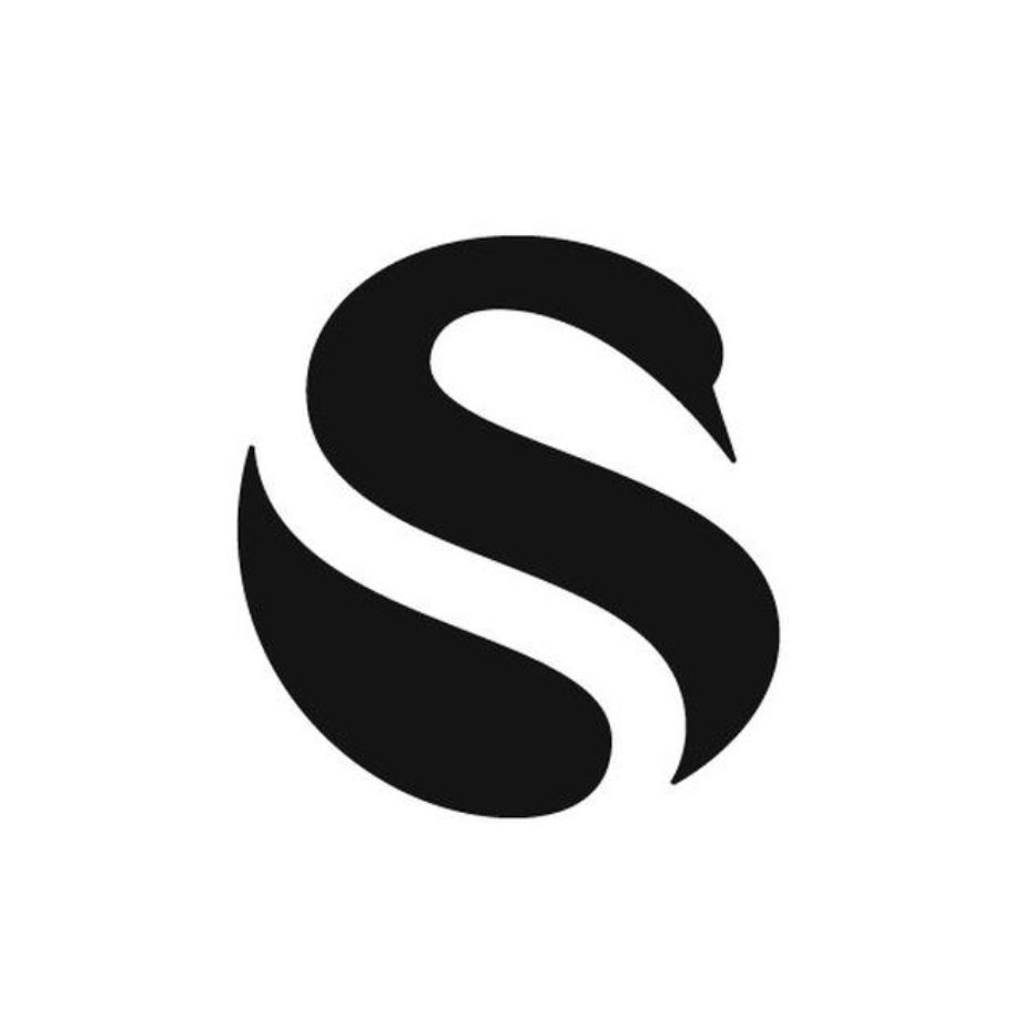 S. Стилизованная буква s. Логотип s. Эмблема с буквой s. Стилизация логотипа.