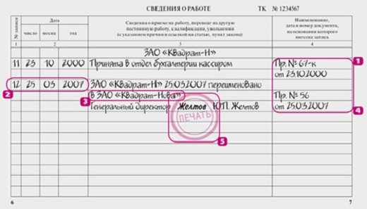 Запись в тк о приеме на работу образец 2022